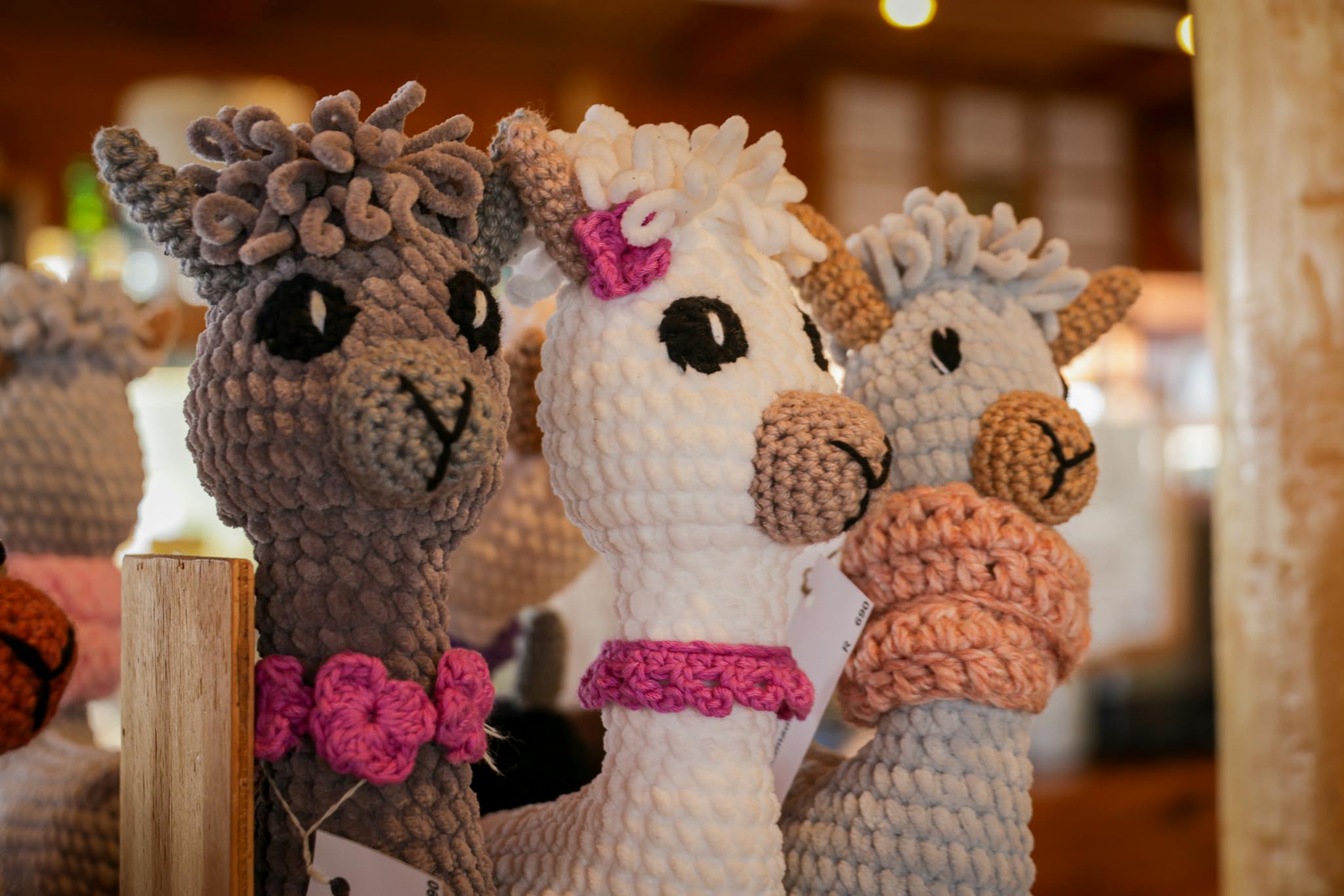 Adorable crochet alpaca plushies with vibrant scarves in a cozy indoor setting.
